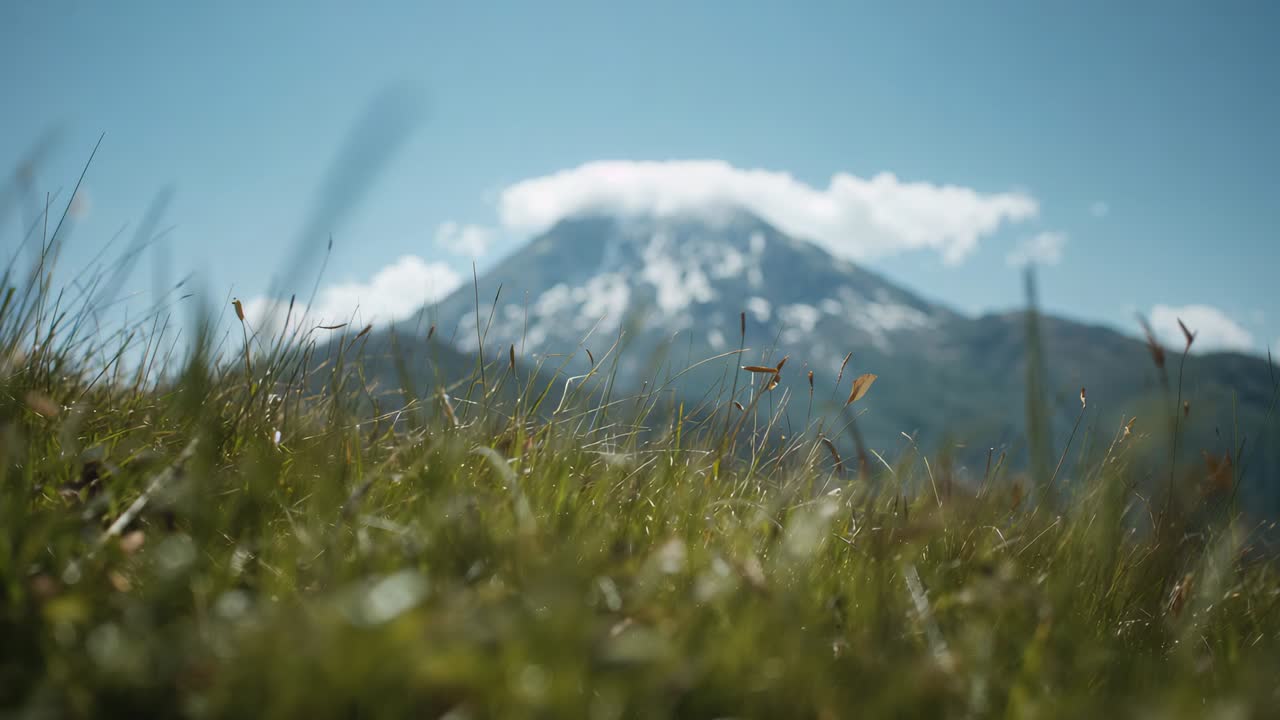 Swaying meadow grass bending in light breeze at ground with snow-patched mountain and cloud cap