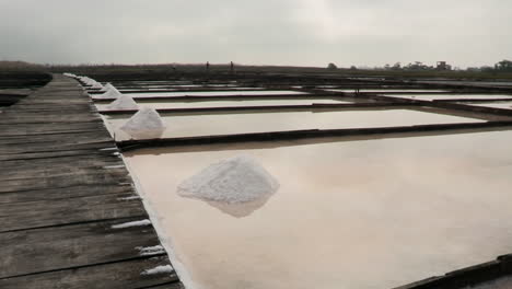 general image of a salt pan of sea water, divided into several parts and with mounds of white salt next to the main corridor