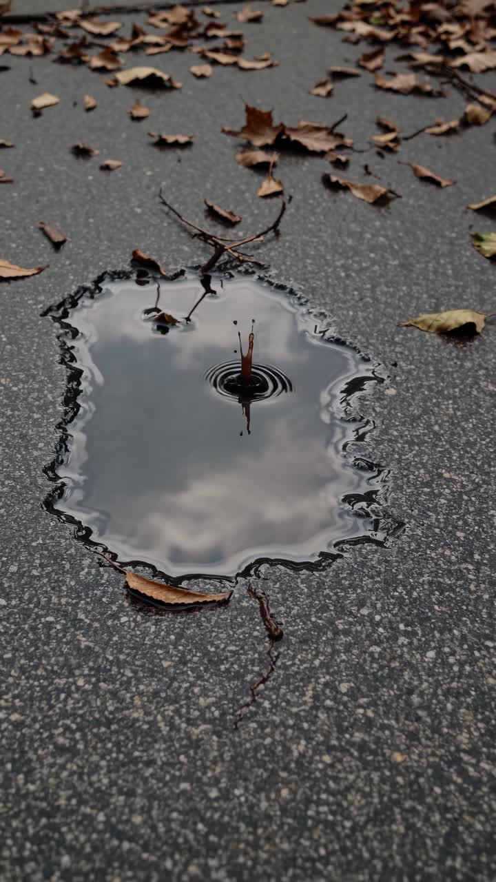 Close-up shot of a puddle reflecting a cloudy sky, surrounded by fallen leaves on asphalt