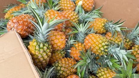 una caja de piñas en un mercado de frutas