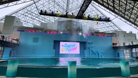 animal life live indoor water show
