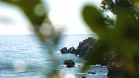 Vista-Desde-Detrás-De-Las-Hojas-De-Los-árboles-Hasta-Las-Rocas-Y-Acantilados-En-El-Mar-Adriático