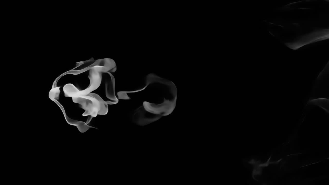 White smoke animated overlay, transparent 4K video, alpha channel, ProRes 4444