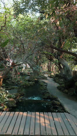 peaceful tropical garden path
