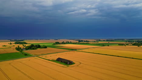 Amplios-Campos-De-Trigo-Dorado-Con-Un-Granero-Solitario-Bajo-Un-Espectacular-Cielo-Nublado