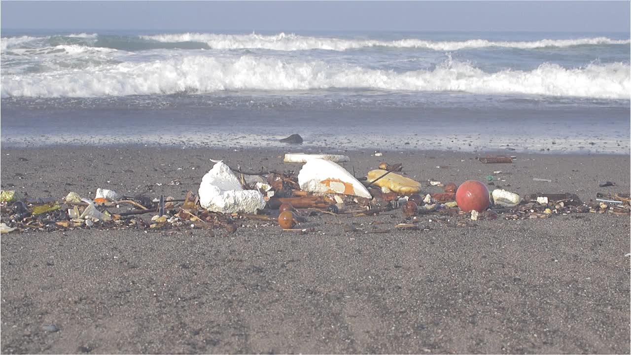 Beach pollution with marine debris on the shore
