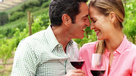 feliz pareja romántica mientras tiene un vaso de vino en el campo