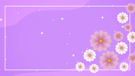 flores de primavera blancas y rosas decoración marco de animación