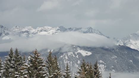 a snowy forest stretches toward misty mountain tops, creating a serene and natural winter landscape. parallax video.