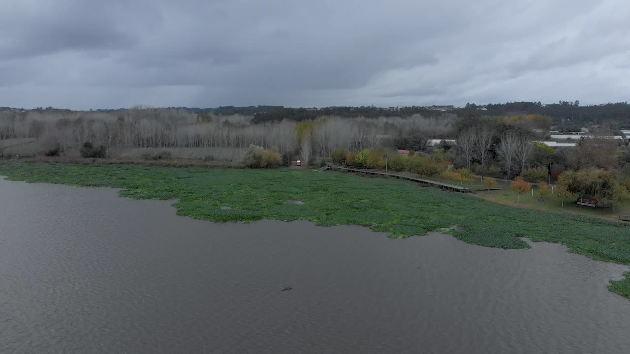 vista aérea del impresionante paisaje lacustre lleno de jacintos de agua en un día nublado de otoño