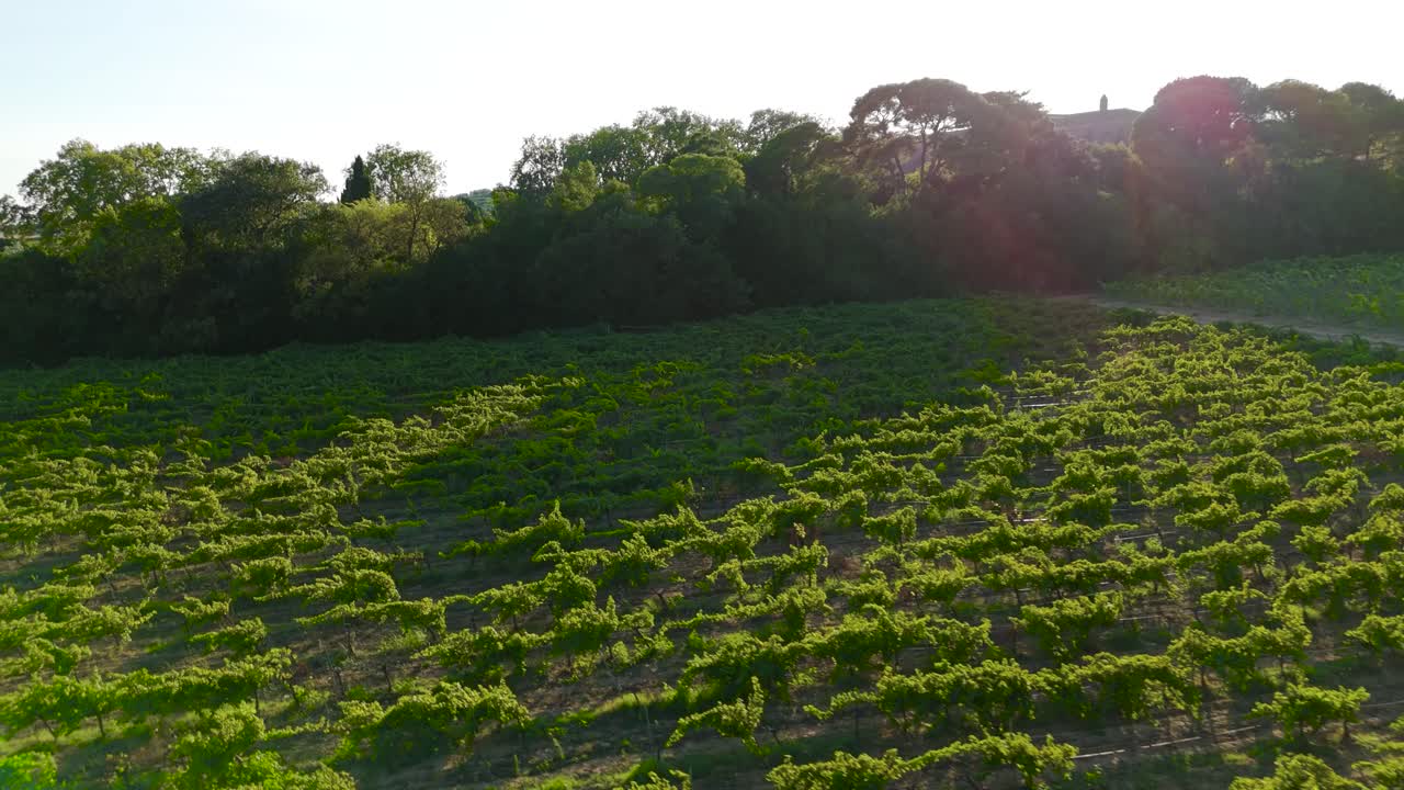 una toma aérea de una abadía francesa rodeada de viñedos en el campo