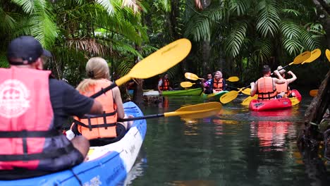 paddling through lush canals in krabi, thailand