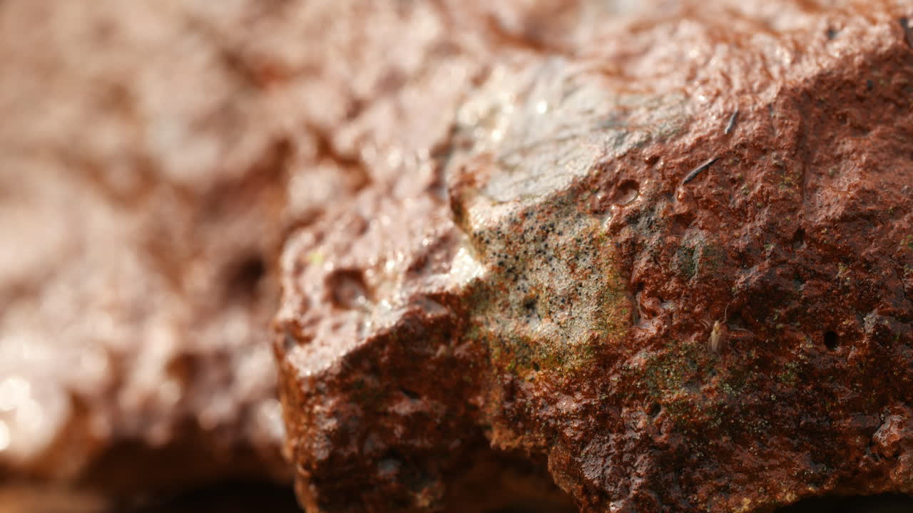 cerca de las ruinas de la pared de ladrillo en ruinas