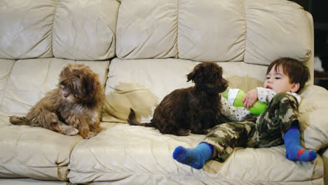 un niño divertido y alegre trata a su cachorro con leche de su botella. videos divertidos con mascotas