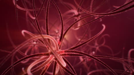 3D-Animation-Von-Neuronalen-Verbindungen-Eines-Gehirns