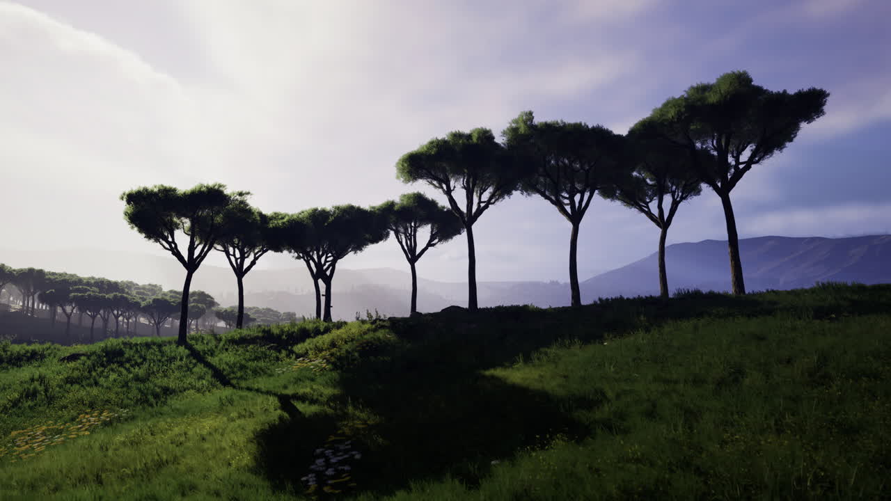 Tall trees cast long shadows across a serene green landscape at twilight