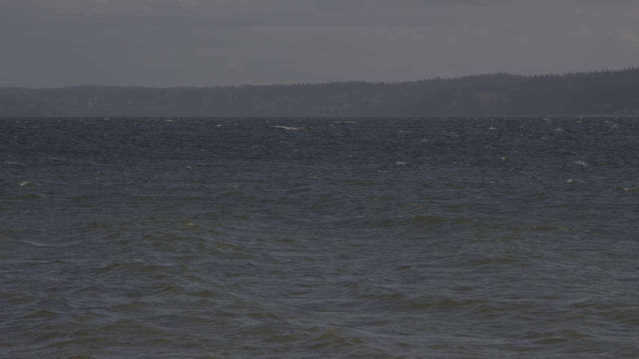 퓨젯 사운드, 워싱턴 주