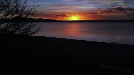 drone-slide-from-tree-branches-Dusk-Dawn-from-the-edge-of-a-large-lake---Ocean-and-sea-stock-videos