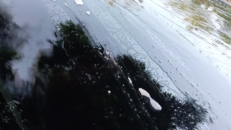 the applied foam on the car to remove dirt flows down closeup