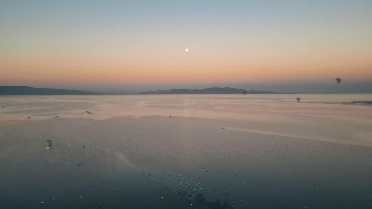 Seagulls soar through hazey yellow orange sky above Great Salt Lake, Antelope Island in background