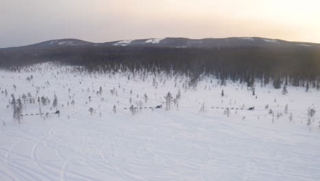 group of running dogs racing across snowy white winter lapland mountain landscape aerial sunrise view