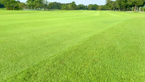 golf ball moving across a lush course