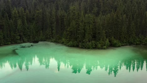 immersed in nature: johnson lake's pristine surroundings