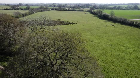 Tiempo-De-Primavera-Temporada-Aéreo-Paisaje-Warwickshire-Flor-Seto-Campo-Tierras-De-Cultivo-Rural