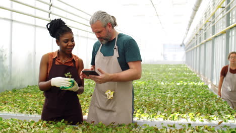 Multiethnic-Colleagues-Using-Tablet-and-Talking-in-Flower-Greenhouse