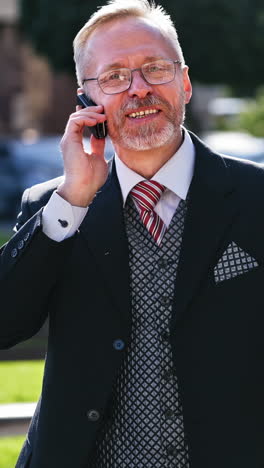 businessman talking on the phone. businessman talking on cell phone against park vertical video