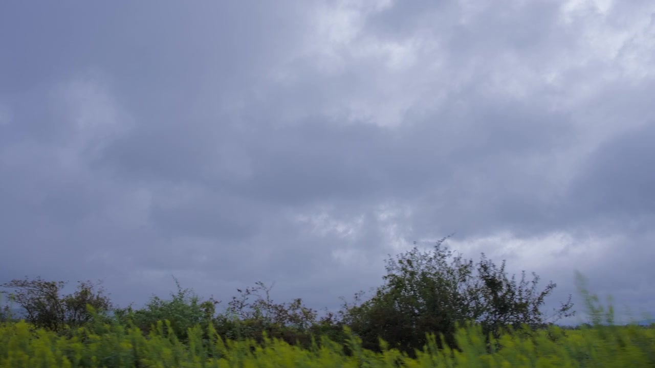 Pemandangan dari dalam mobil: langit badai di atas ladang.