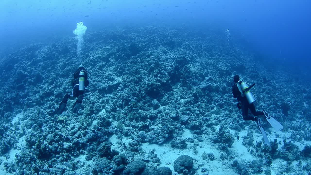 buzos en un arrecife de coral en el océano