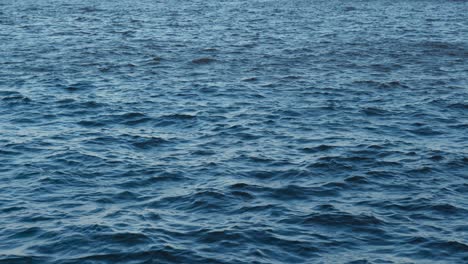 vista de cerca del agua de mar