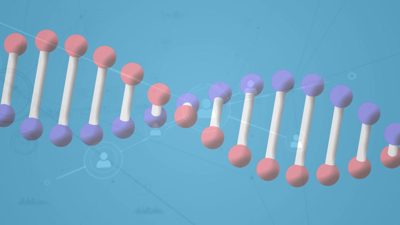 Animazione di una doppia elica di DNA che ruota su una rete di connessioni con icone di persone su sfondo blu.