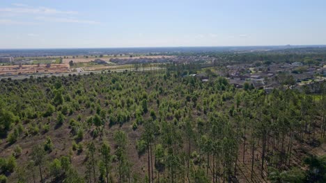 Shot-by-drone-of-little-brushes-or-trees-planted-to-separate-the-traffic-and-roads-from-the-resorts