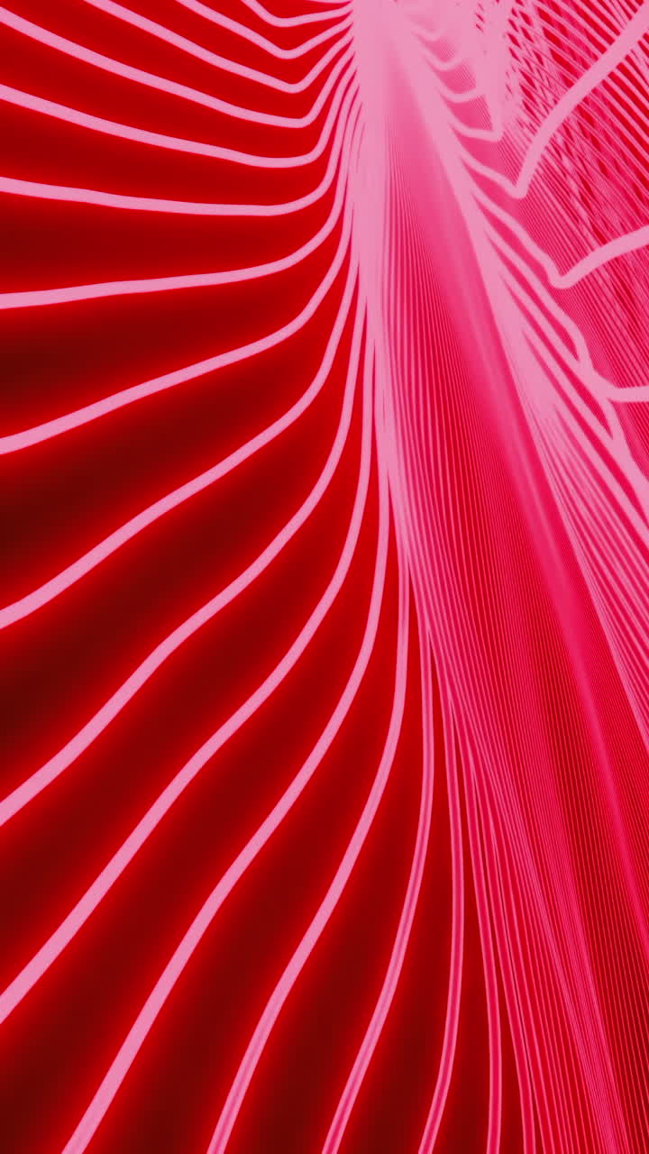 추상적인 빨간색과 분홍색 선 패턴