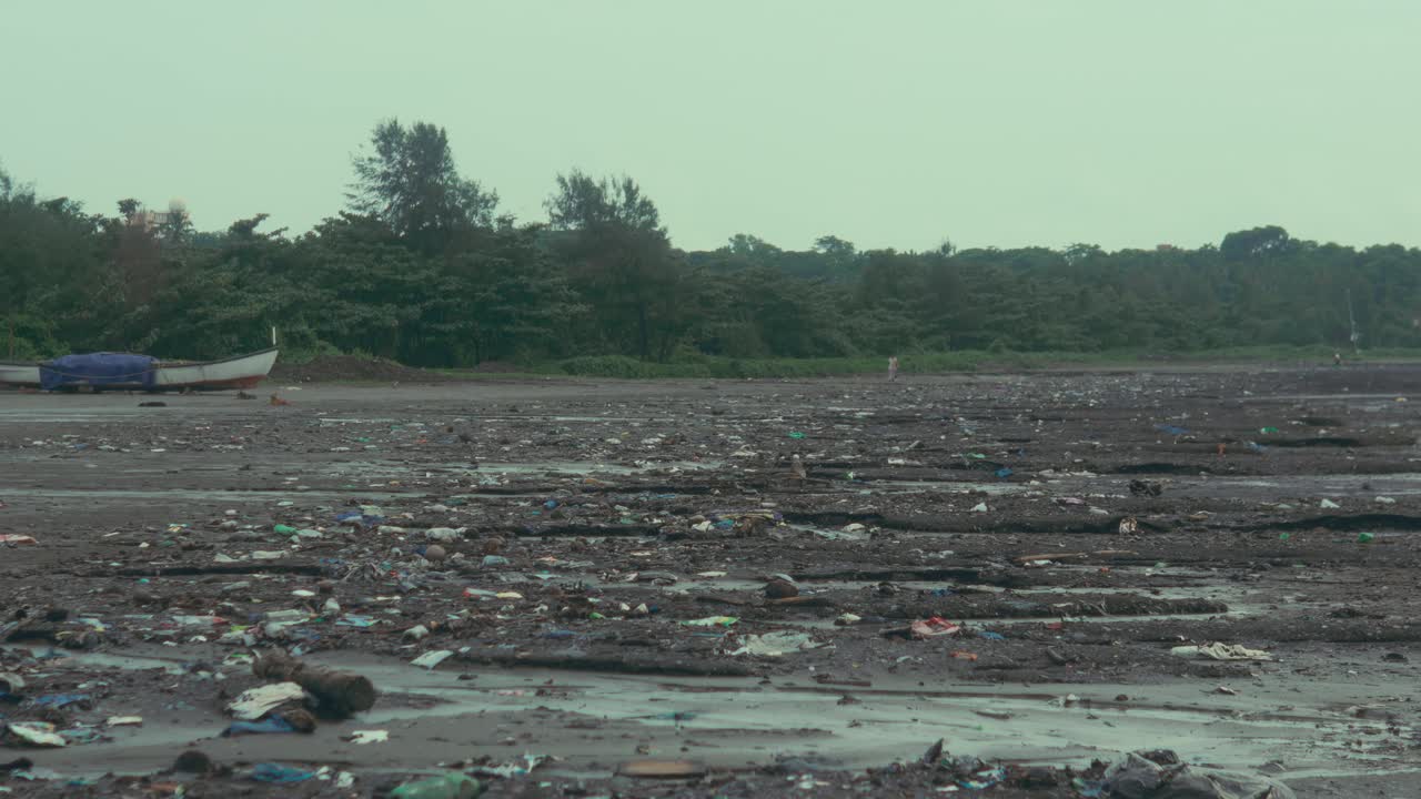 Wide view of shoreline covered with plastic debris and trash highlighting environmental pollution and impact of waste on coastal ecosystem