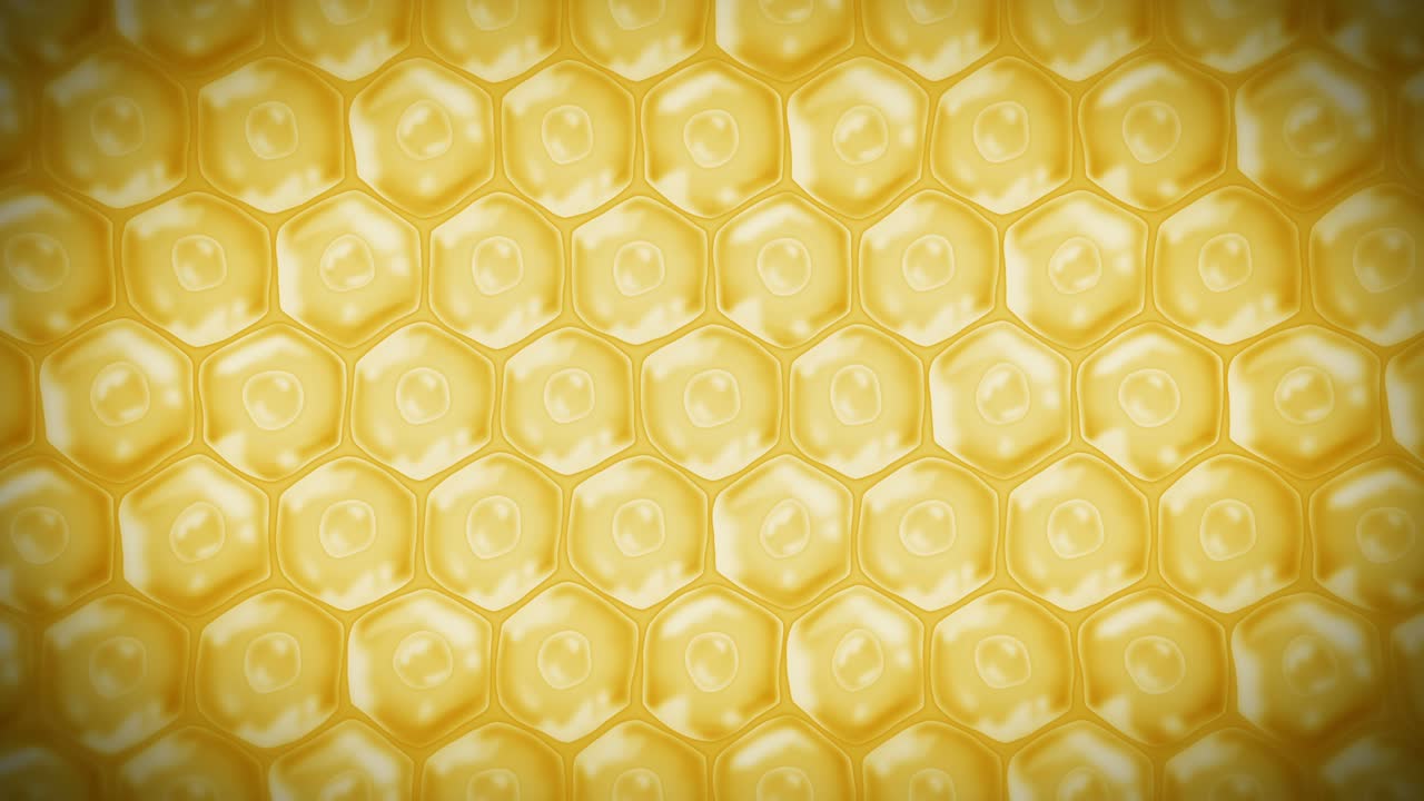 인간 피부 세포: 세포막을 가진 각 세포, 세포 치료, 질병 치료, 핵과 진공, 재생, 루프 애니메이션