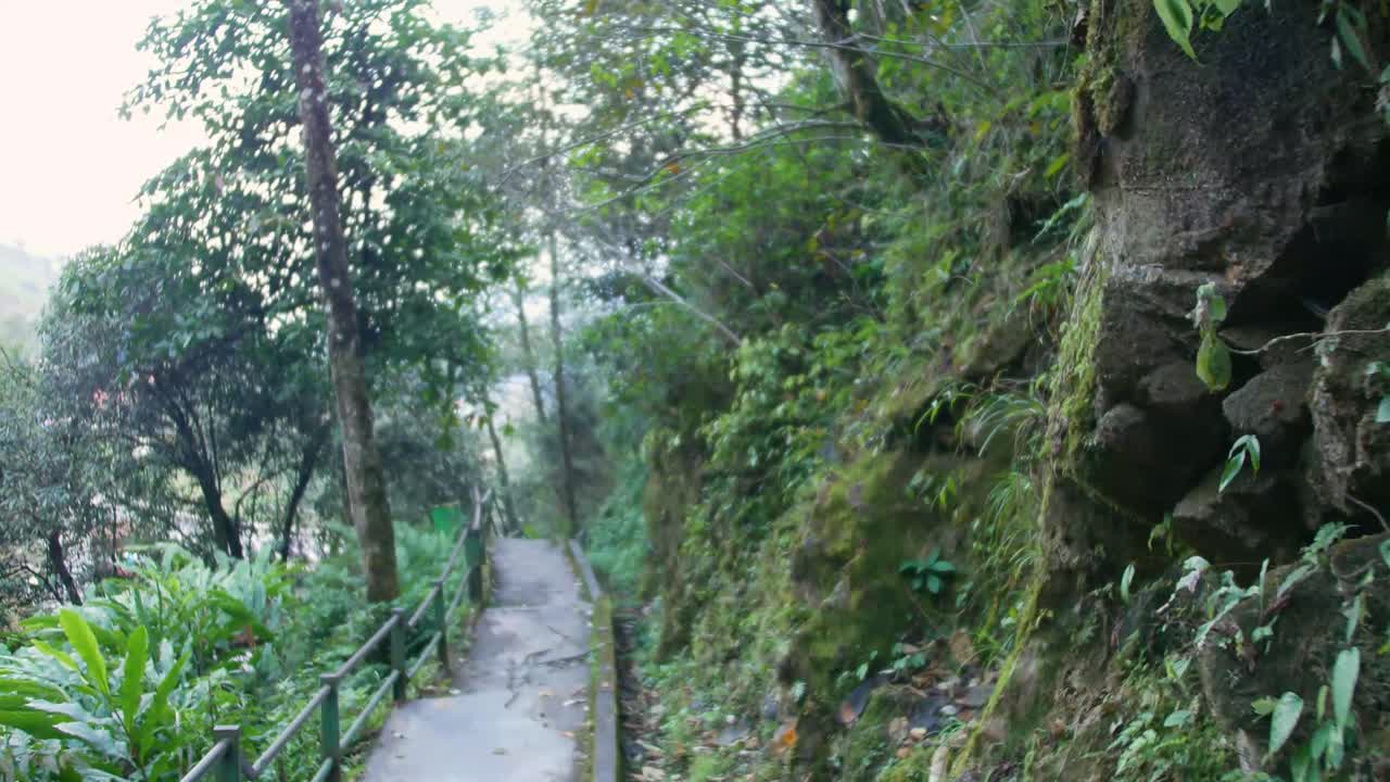 escaleras de sendero cubierto de vegetación en el parque natural en vietnam sapa cascada de plata