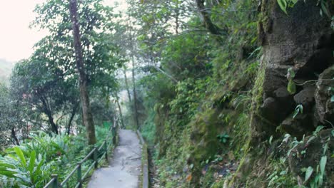 overgrown footpath stairs down in natural park in vietnam sapa silver waterfall