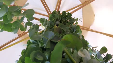 360 shot of some eucalyptus decoration in a wedding