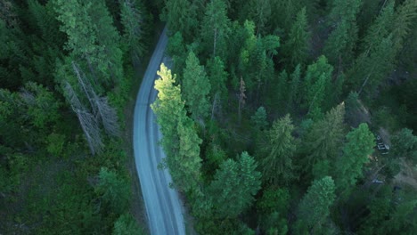 Luftaufnahme-Einer-Durch-Den-Wald-Schlängelnden-Landstraße-Mit-Einer-Drohne