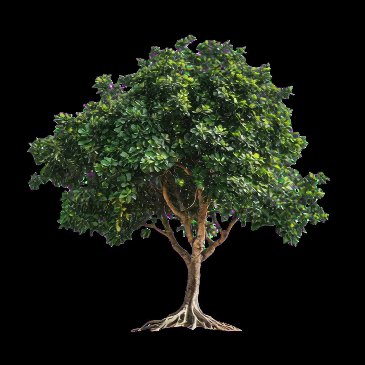 Illustrazione di un albero verde rigoglioso