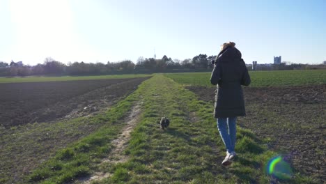 Lindo-Cachorro-Caminando-Con-Una-Mujer-Elegante-En-El-Campo-De-Hierba-En-El-Parque-En-Cámara-Súper-Lenta-Durante-El-Verano-Y-La-Puesta-De-Sol