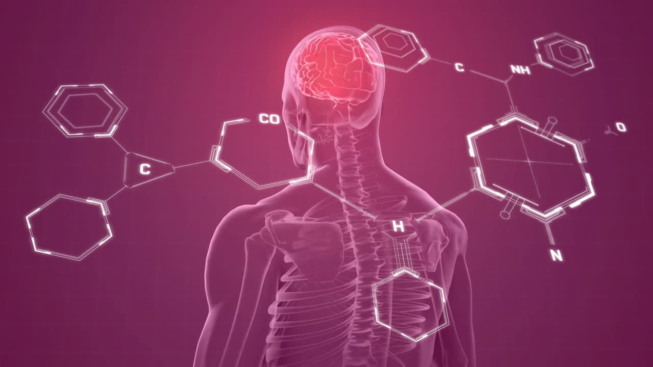 animación del cerebro humano y procesamiento de datos científicos.