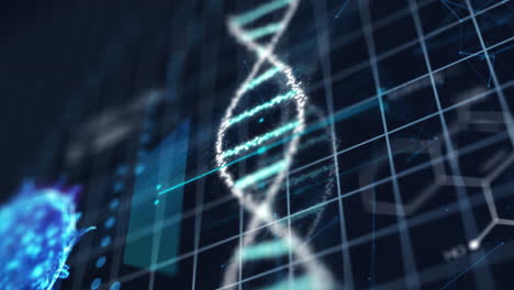 Digitale-Bildschirmanimation-Der-DNA-String-Matching-Sequenz