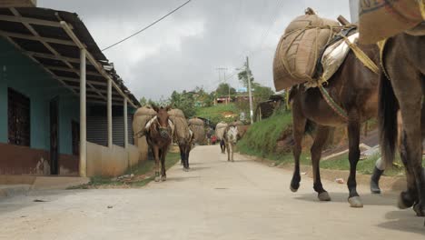 Grupo-De-Ganado-De-Burros-Y-Caballos-Para-Transportar-Bolsas-Pesadas-De-Granos-De-Café-Caminando-En-Fila-Por-Un-Camino-De-Tierra-Hacia-El-Pueblo-Tradicional-De-Plantación-De-Colombia-Montañas-De-América-Latina-En-Cámara-Lenta