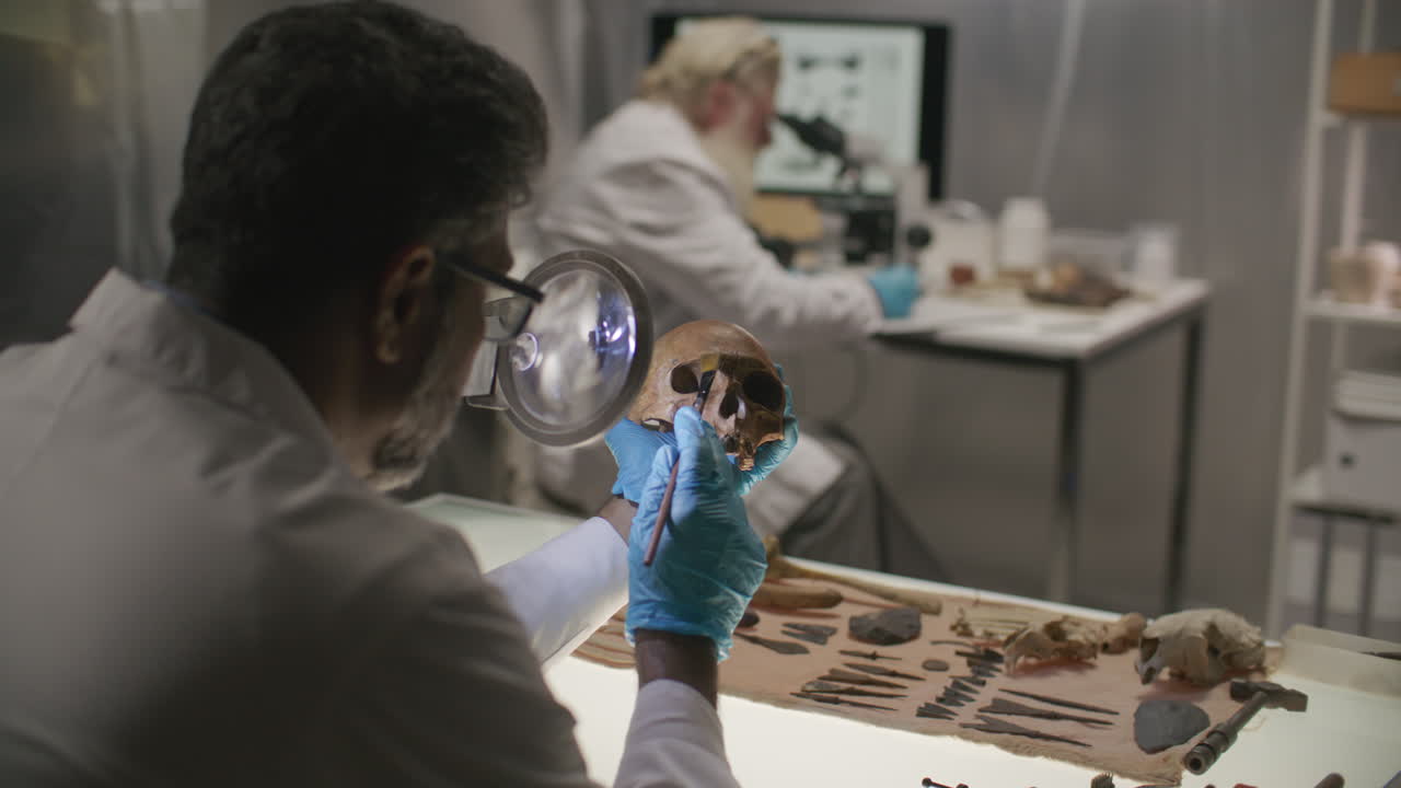 Archaeologist Cleaning Skull under Magnifying Glass in Laboratory