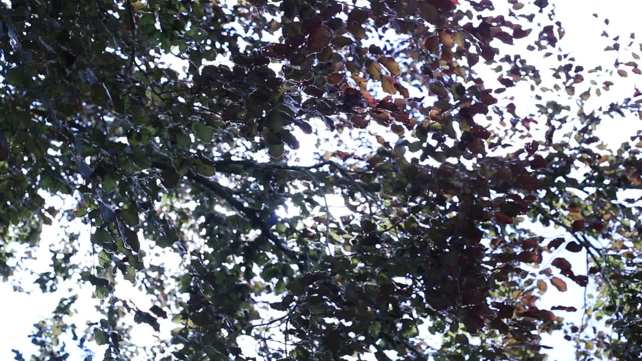 zona militar abandonada de la bundeswehr-1 alemana