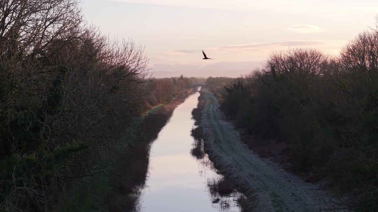 Scena serena di un canale a Kildare, Irlanda; tranquillo tramonto invernale, la pace della natura